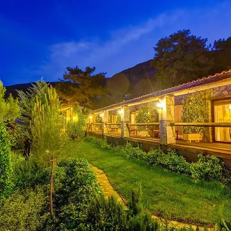 Lodge Olympos Mountain Beycik