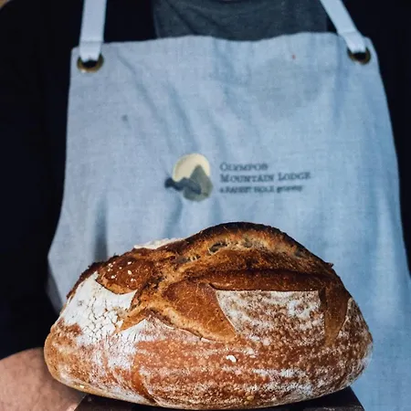 أوليمبوس ماونتن لودج بيت خشبي *