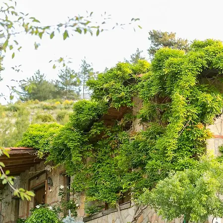 Olympos Mountain Beycik