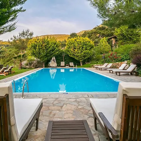 Orman Evi Olympos Mountain *