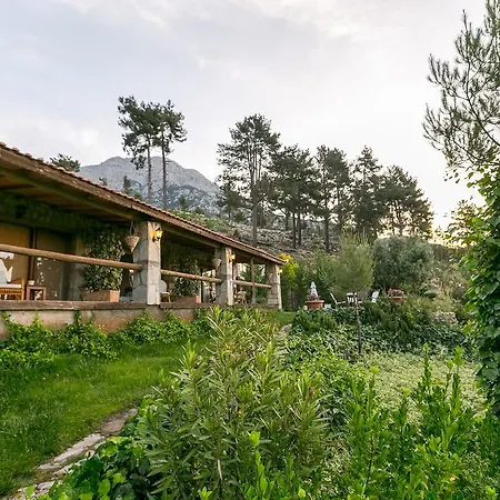 Olympos Mountain Beycik