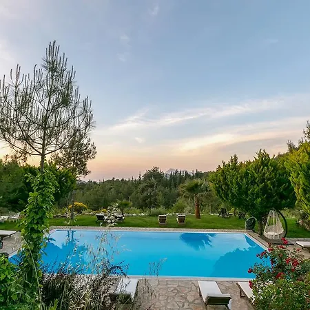 بيت خشبي أوليمبوس ماونتن لودج *