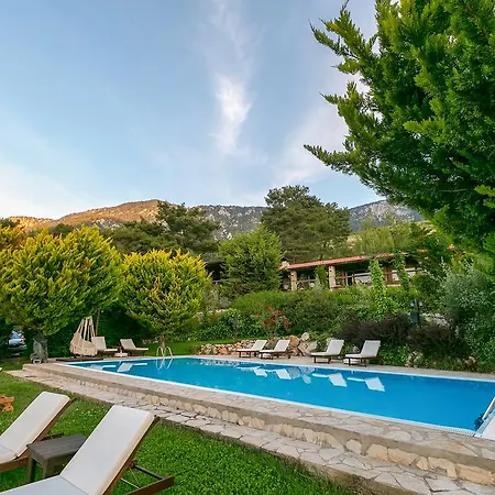 أوليمبوس ماونتن لودج