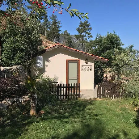אכסניה Olympos Mountain Beycik