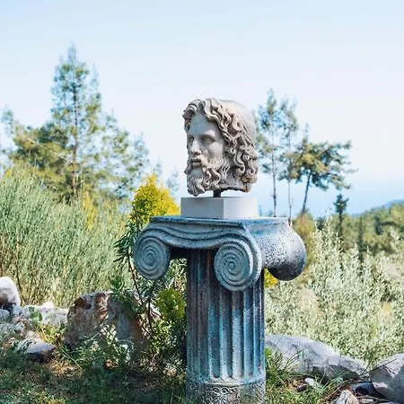 Olympos Mountain ベイジック